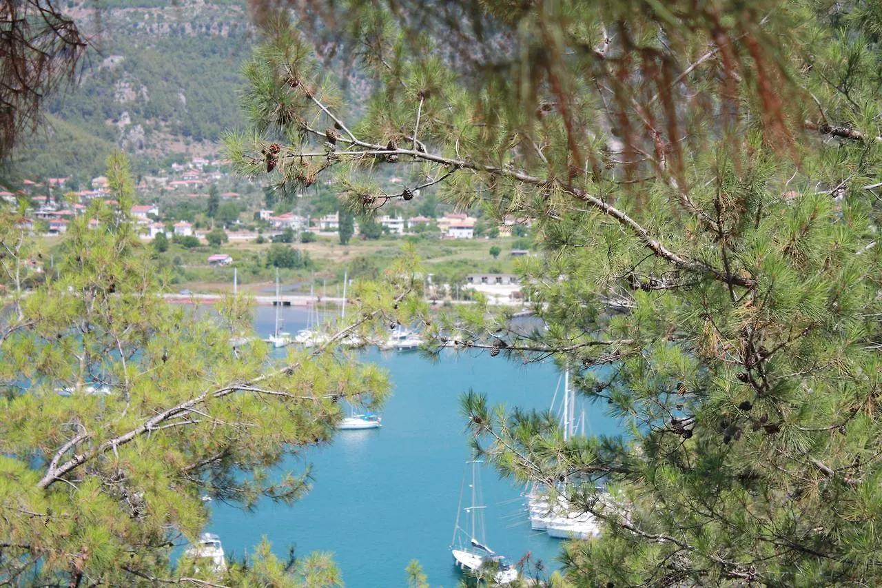 Palmiye Hotel & Marina Orhaniye  2*, Orhaniye (Marmaris) Turkey